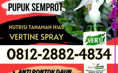 SEDANG DISKON! 0812-2882-4834, JUAL Pupuk Daun Vertine Spray Terbaik Sambas