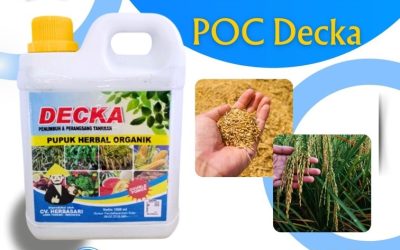 SEDANG DISKON! 0812*2882*4834, JUAL Pupuk Padi Cair Mamuju Utara