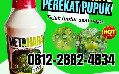 TERLARIS! 0812-2882-4834, PRODUSEN Perekat Pupuk di Jember