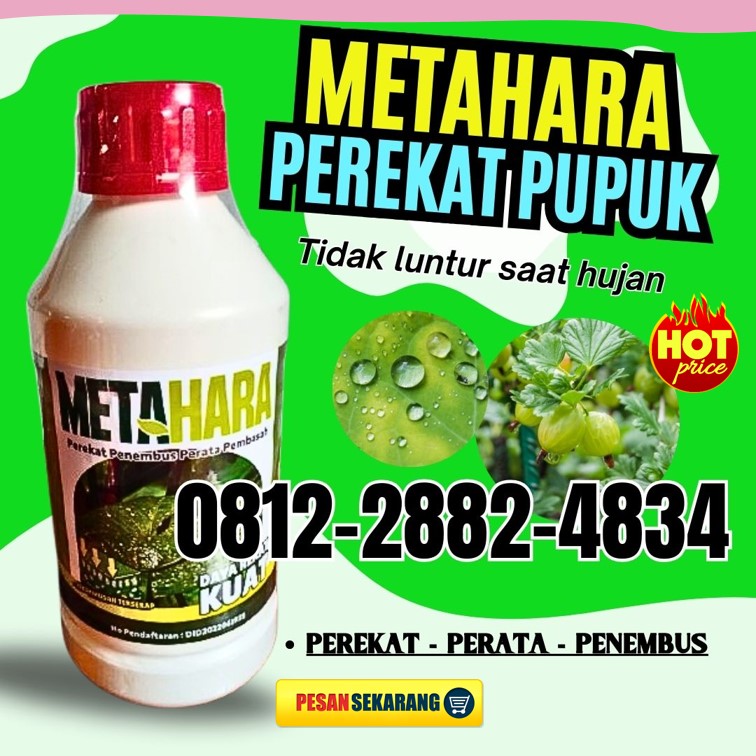 PRODUSEN Perekat Pupuk di Jember