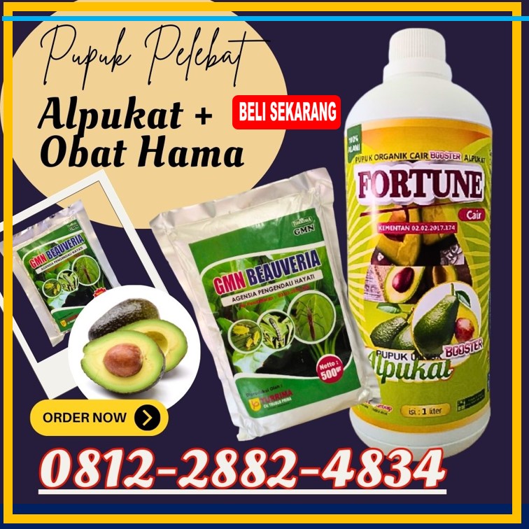 PRODUSEN Pupuk Alpukat Terbaik di Menggala