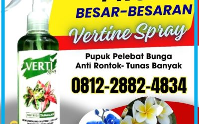 TERLARIS! 0812-2882-4834, PRODUSEN Pupuk Vertine Spray Untuk Daun Dan Akar di Meliau