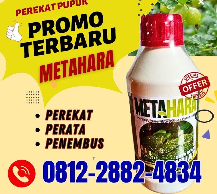 PANEN MELIMPAH! 0812-2882-4834, PUSAT Metahara Perekat Pupuk Jawa Timur