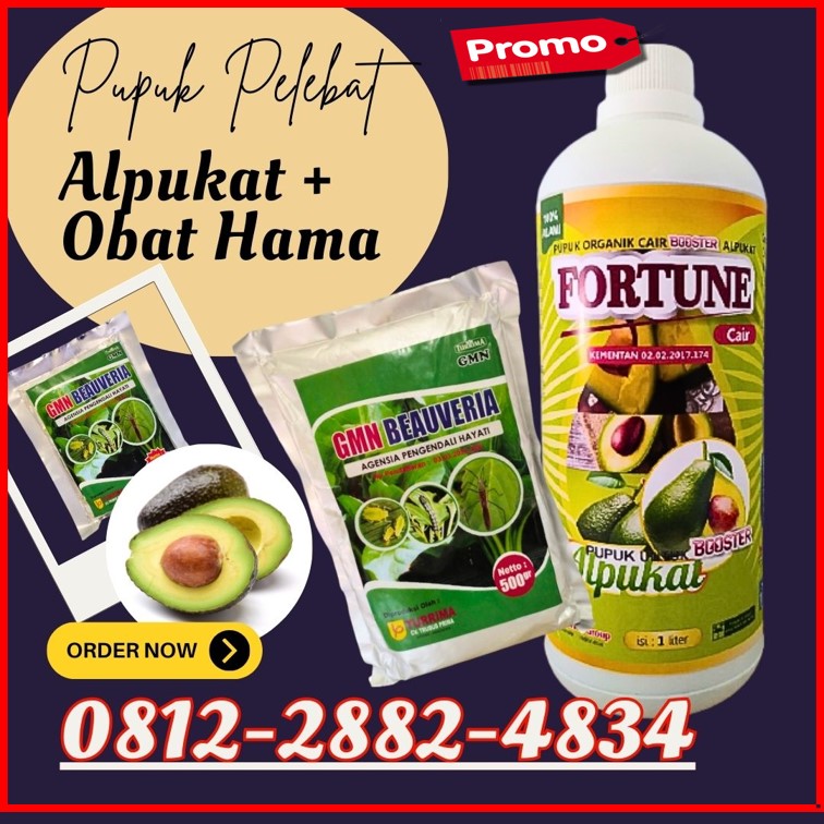 PUSAT Pupuk Alpukat di Lampung Selatan