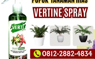 PANEN MELIMPAH! 0812-2882-4834, PUSAT Pupuk Daun Vertine Spray di Pontianak