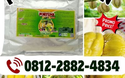 KUALITAS TERUJI! 0812-2882-4834, PUSAT Pupuk Organik Durian Buol