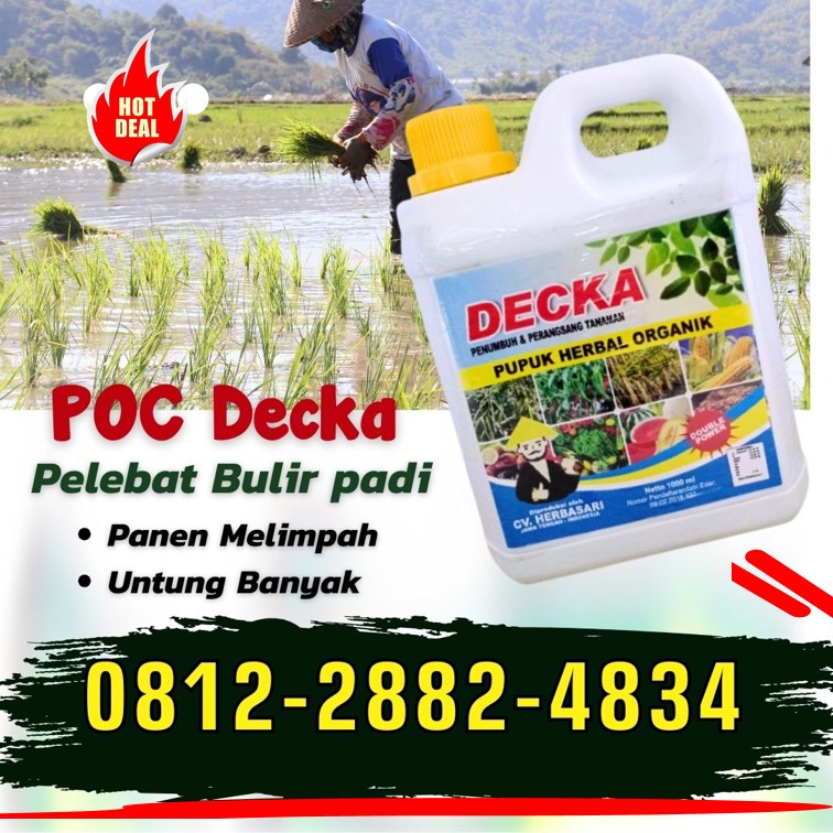 GROSIR Pupuk Organik Cair Padi Pasangkayu