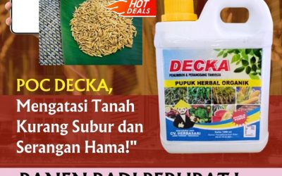 PANEN MELIMPAH! 0812*2882*4834, PUSAT Pupuk Padi Kota Mamuju