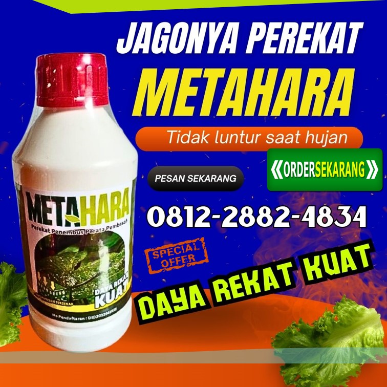 SUPPLIER Perekat Perata Penembus Pestisida di Gresik