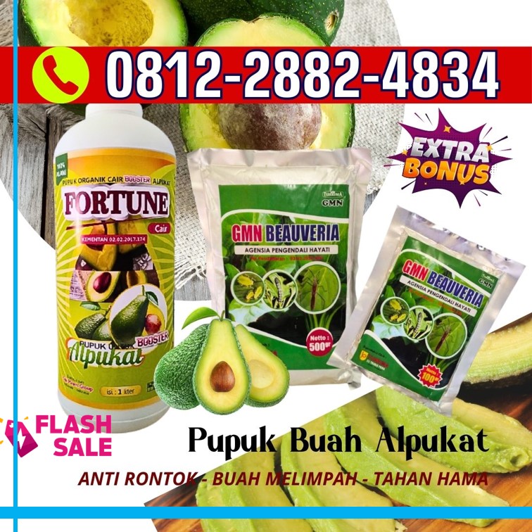 SUPPLIER Pupuk Booster Alpukat di Tulang Bawang