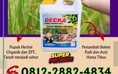 FAST REPON! 0812*2882*4834, SUPPLIER Pupuk Padi Organik Polewali