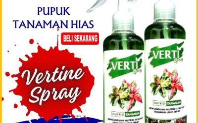 FAST REPON! 0812-2882-4834, SUPPLIER Verti Spray Pupuk Daun Cair Terbaik Sintang
