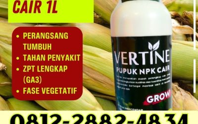 BISA COD! 0812-2882-4834, TOKO NPK Pupuk Buah Jagung Tolitoli