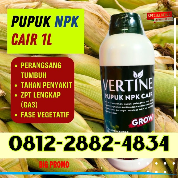 TOKO NPK Pupuk Buah Jagung Tolitoli