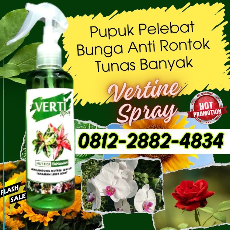 TOKO Pupuk Daun Cair Verti Spray di Tumbang Titi