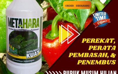 KUALITAS TERUJI! 0813-2747-3262, PUSAT Perekat Herbisida Sidoarjo, Perekat Insektisida Situbondo, Perekat Pestisida Sumenep