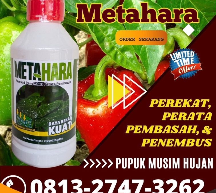 KUALITAS TERUJI! 0813-2747-3262, PUSAT Perekat Herbisida Sidoarjo, Perekat Insektisida Situbondo, Perekat Pestisida Sumenep