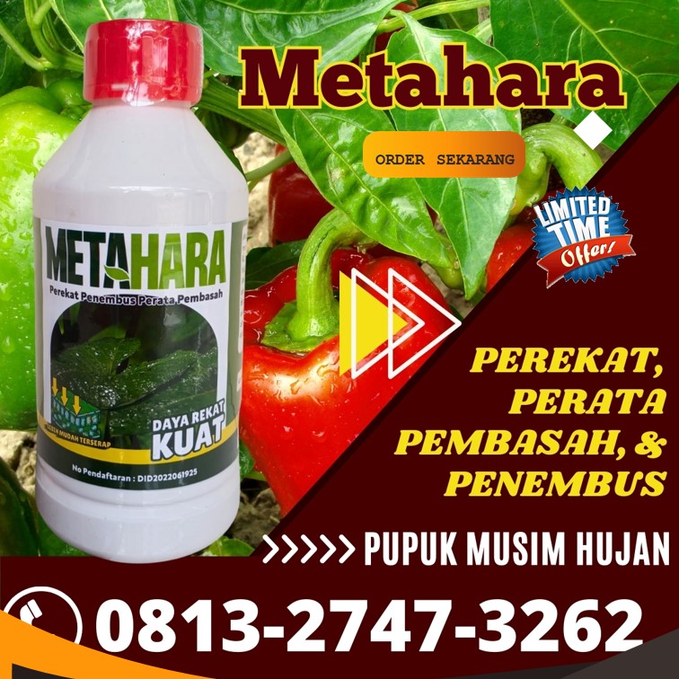 PUSAT Perekat Perata Penembus Pestisida Sidoarjo, JUAL Perekat Dan Perata Pestisida Situbondo, Perekat Penembus Sumenep