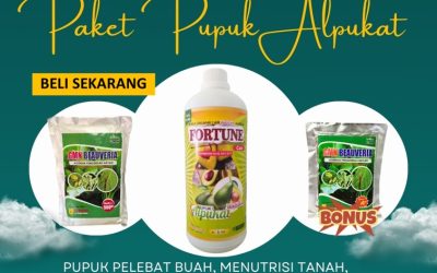 KUALITAS TERUJI! 0813-2747-3262, PUSAT Pupuk Alpukat Lampung Tengah, Pupuk Dan Obat Hama Alpukat Gunung Sugih, Pupuk Buah Alpukat Lampung Utara