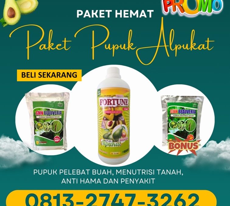 KUALITAS TERUJI! 0813-2747-3262, PUSAT Pupuk Alpukat Lampung Tengah, Pupuk Dan Obat Hama Alpukat Gunung Sugih, Pupuk Buah Alpukat Lampung Utara