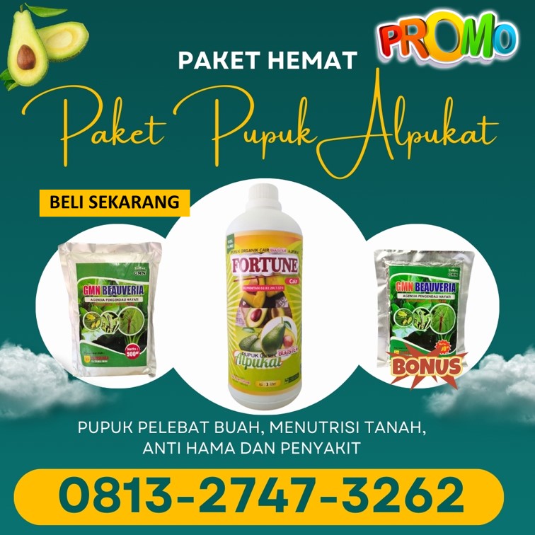 PUSAT Pupuk Dan Obat Hama Alpukat Lampung Tengah, JUAL Pupuk Buah Alpukat Gunung Sugih, Pupuk Booster Alpukat Anti Hama Ulat Lampung Utara