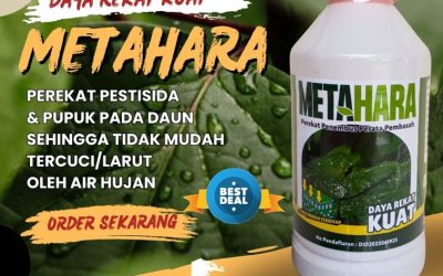 SEDANG PROMO! 0813-2747-3262, PRODUSEN Perekat Herbisida Kota Madiun, Perekat Insektisida Kota Malang, Perekat Pestisida Kota Mojokerto