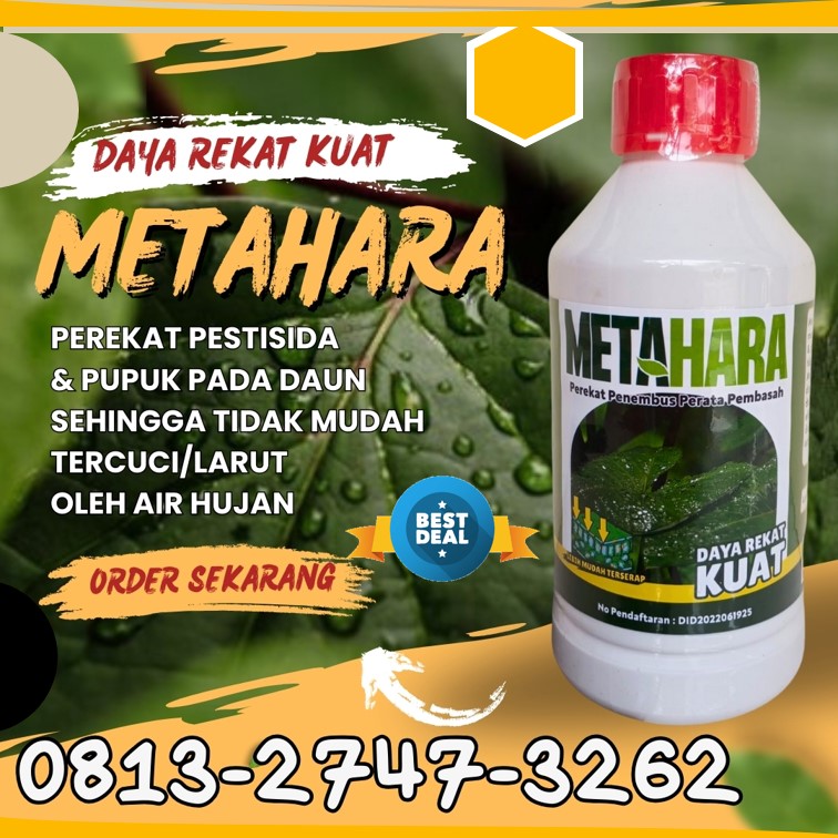 PRODUSEN Perekat Pupuk Terbaik Kota Madiun, PUSAT Perekat Fungisida Kota Malang, Perekat Herbisida Kota Mojokerto, Perekat Insektisida Kota Pasuruan