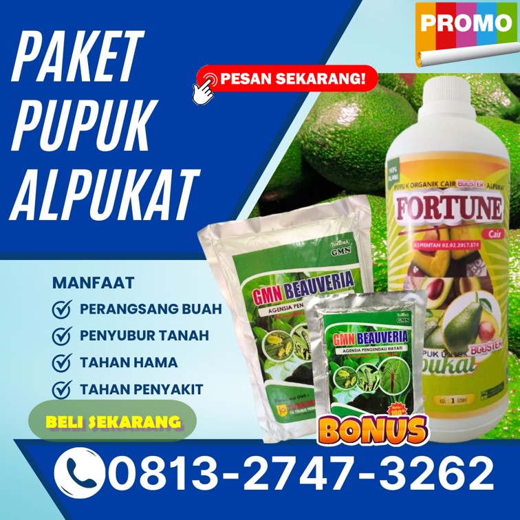 PRODUSEN Pupuk Alpukat Agar Cepat Berbuah Kota Agung, PUSAT Pupuk Alpukat Agar Tidak Rontok Lampung Timur, Pupuk Alpukat Saat Berbunga Sukadana
