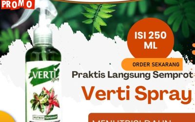 SEDANG PROMO! 0813-2747-3262, PRODUSEN Pupuk Daun Dan Akar Pahuman, Pupuk Daun Betingtinggi, Pupuk Daun Terbaik Nanga Era
