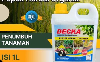 SEDANG PROMO! 0813-2747-3262, PRODUSEN Pupuk Padi Terbaik Kota Mamuju, Pupuk Padi Kota Mamuju, Pupuk Padi Cair Mamuju Utara
