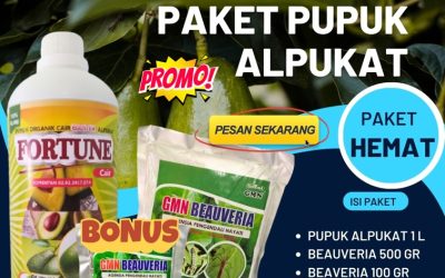 TERPERCAYA! 0813-2747-3262, JUAL Pupuk Dan Obat Hama Alpukat Gunung Sugih, Pupuk Buah Alpukat Lampung Utara, Pupuk Booster Alpukat Kotabumi