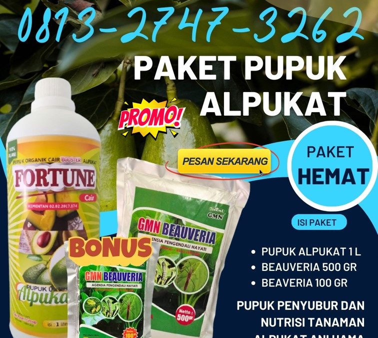 TERPERCAYA! 0813-2747-3262, JUAL Pupuk Dan Obat Hama Alpukat Gunung Sugih, Pupuk Buah Alpukat Lampung Utara, Pupuk Booster Alpukat Kotabumi