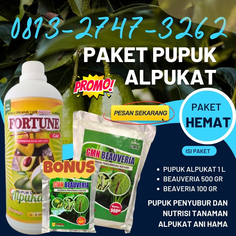 JUAL Pupuk Buah Alpukat Gunung Sugih, GROSIR Pupuk Booster Alpukat Anti Hama Ulat Lampung Utara, Pupuk Alpukat Terbaik Kotabumi