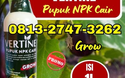 TERPERCAYA! 0813-2747-3262, JUAL Pupuk Jagung Agar Berbuah Besar Donggala, Pupuk Buah Jagung Banawa, Pupuk Jagung Cair Tolitoli