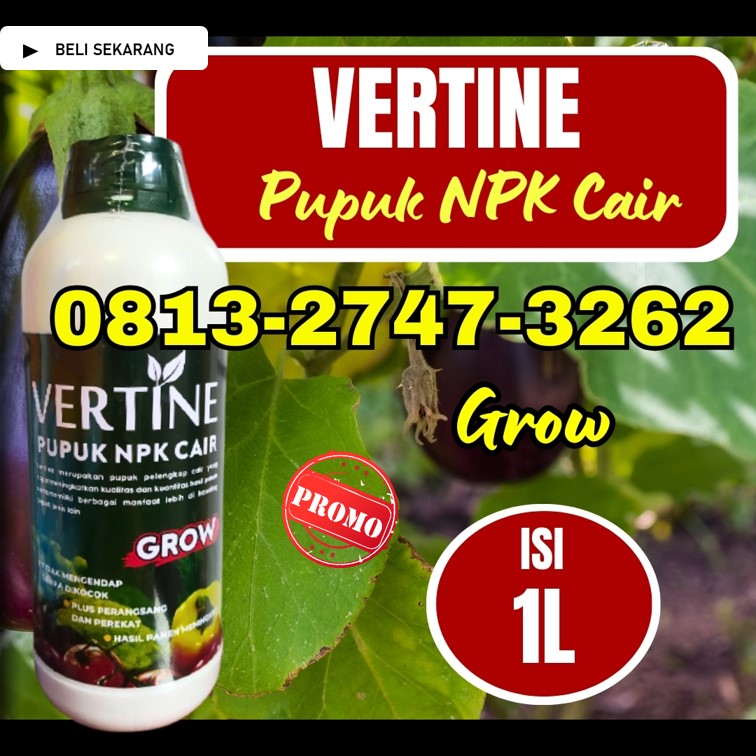 JUAL Pupuk Jagung Cair Donggala, GROSIR Pupuk Jagung Terbaik Banawa, Pupuk Jagung Tolitoli, Pupuk Jagung Agar Berbuah Besar Tolitoli