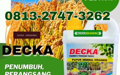 TERPERCAYA! 0813-2747-3262, JUAL Pupuk Padi Cair Mamasa, Pupuk Organik Cair Padi Mamasa, Pupuk Padi Organik Polewali Mandar