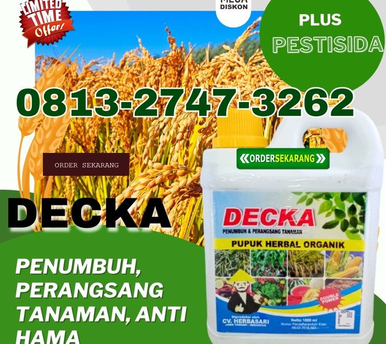 TERPERCAYA! 0813-2747-3262, JUAL Pupuk Padi Cair Mamasa, Pupuk Organik Cair Padi Mamasa, Pupuk Padi Organik Polewali Mandar