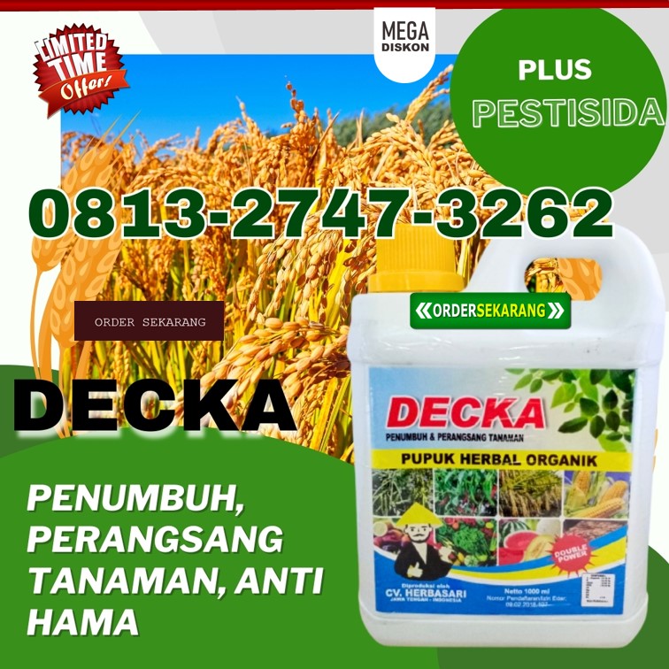 JUAL Pupuk Padi Masa Vegetatif Mamasa, GROSIR Pupuk Padi Musim Kemarau Mamasa, Pupuk Padi Organik Polewali Mandar