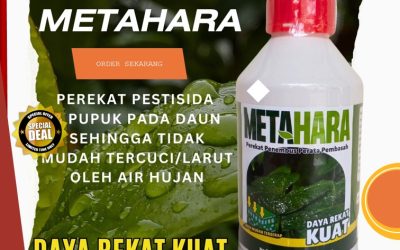 100% AMAN! 0813-2747-3262, GROSIR Perekat Pestisida Sumenep, Perekat Perata Trenggalek, Perekat Perata Penembus Pestisida Terbaik Tuban