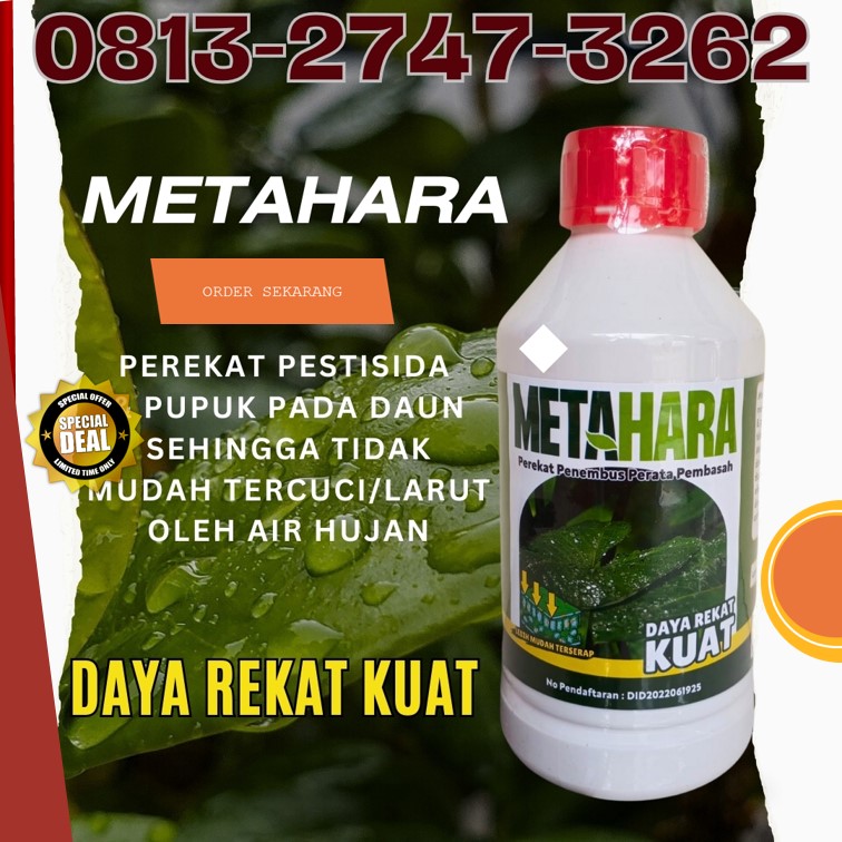 GROSIR Perekat Penembus Sumenep, HARGA Perekat Penembus Pestisida Terbaik Trenggalek, Perekat Perata Penembus Pestisida Terbaik Tuban