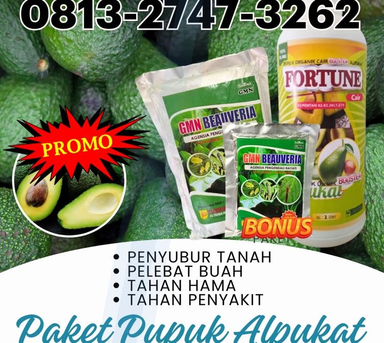100% ALAMI! 0813-2747-3262, GROSIR Pupuk Buah Alpukat Lampung Utara, Pupuk Booster Alpukat Kotabumi, Pupuk Alpukat Terbaik Lampung Barat