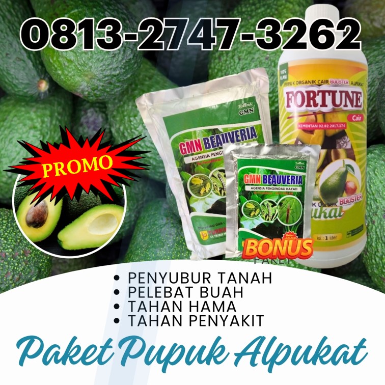 GROSIR Pupuk Booster Alpukat Anti Hama Ulat Lampung Utara, HARGA Pupuk Alpukat Terbaik Kotabumi, Pupuk Alpukat Anti Ulat Daun Alpukat Lampung Barat