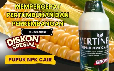 100% ALAMI! 0813-2747-3262, GROSIR Pupuk Buah Jagung Banawa, Pupuk Jagung Cair Tolitoli, Pupuk Jagung Terbaik Tolitoli