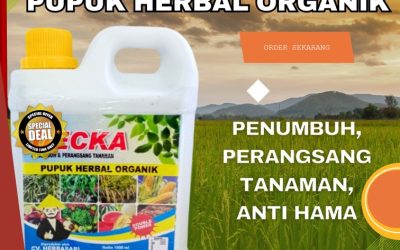 100% ALAMI! 0813-2747-3262, GROSIR Pupuk Organik Cair Padi Mamasa, Pupuk Padi Organik Polewali Mandar, Pupuk Padi Terbaik Polewali