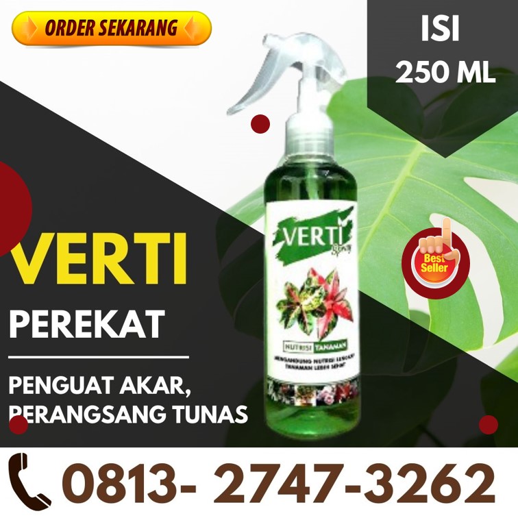 HARGA Pupuk Akar Dan Pupuk Daun Kendawangan, AGEN Pupuk Daun Cair Mangkul, Pupuk Daun Aglonema Tapah, Pupuk Daun Alami Pagarantimun