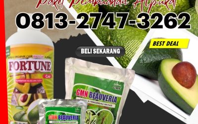 OPEN RESELLER! 0813-2747-3262, HARGA Pupuk Booster Alpukat Kotabumi, Pupuk Alpukat Terbaik Lampung Barat, Pupuk Alpukat Liwa