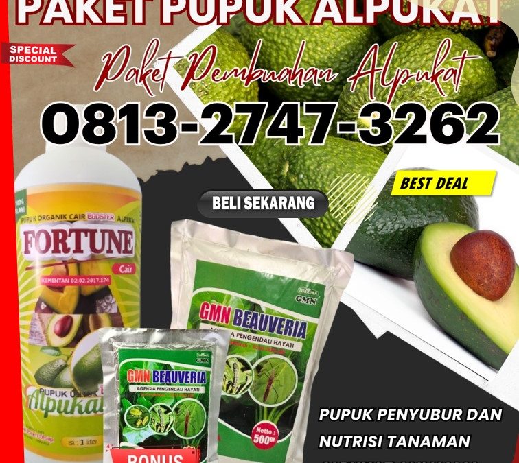 HARGA Pupuk Alpukat Terbaik Kotabumi, AGEN Pupuk Alpukat Anti Ulat Daun Alpukat Lampung Barat, Pupuk Alpukat Anti Kutu Daun Alpukat Liwa