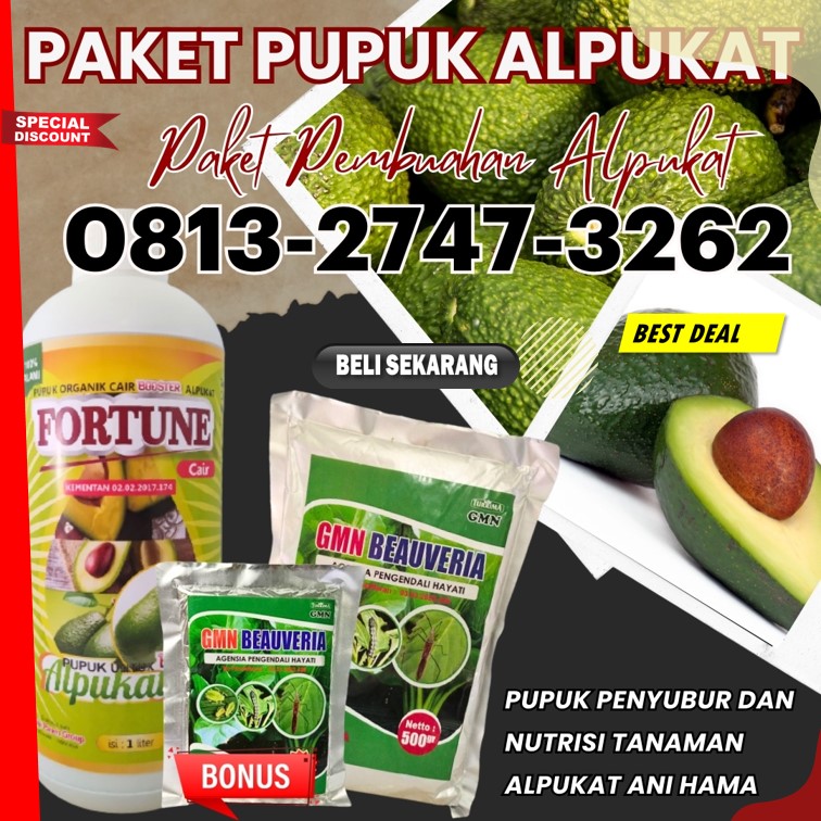 HARGA Pupuk Alpukat Terbaik Kotabumi, AGEN Pupuk Alpukat Anti Ulat Daun Alpukat Lampung Barat, Pupuk Alpukat Anti Kutu Daun Alpukat Liwa