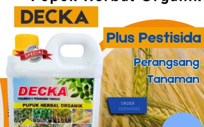 OPEN RESELLER! 0813-2747-3262, HARGA Pupuk Padi Organik Polewali Mandar, Pupuk Padi Terbaik Polewali, Pupuk Padi Majene