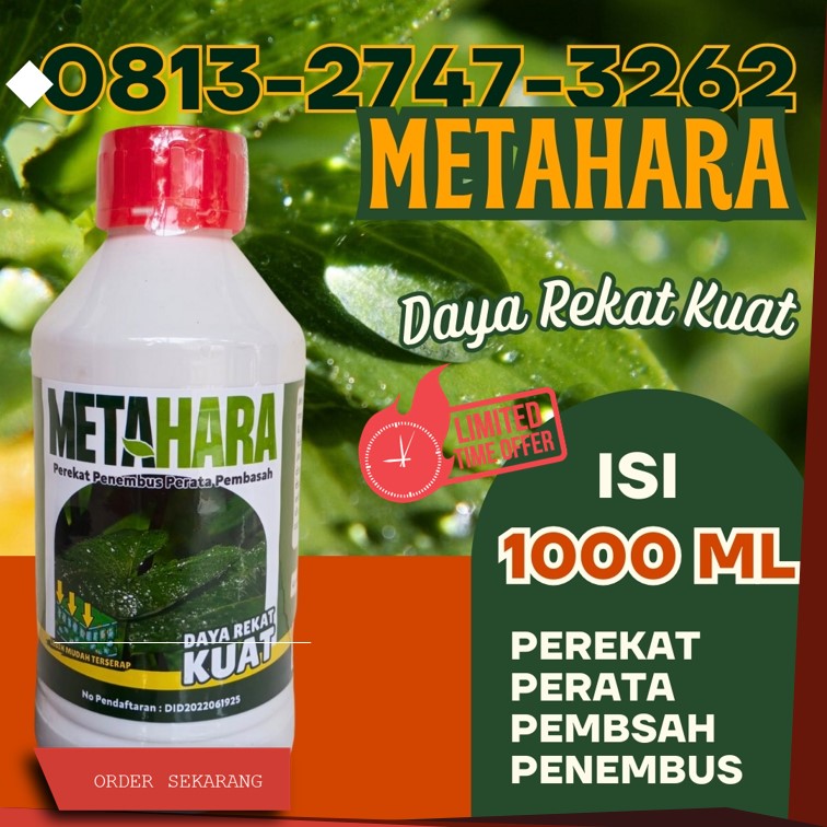 AGEN Perekat Perata Penembus Pestisida Terbaik Tuban, DISTRIBUTOR Perekat Perata Penembus Pestisida Tulungagung, Perekat Dan Penembus Insektisida Kota Batu